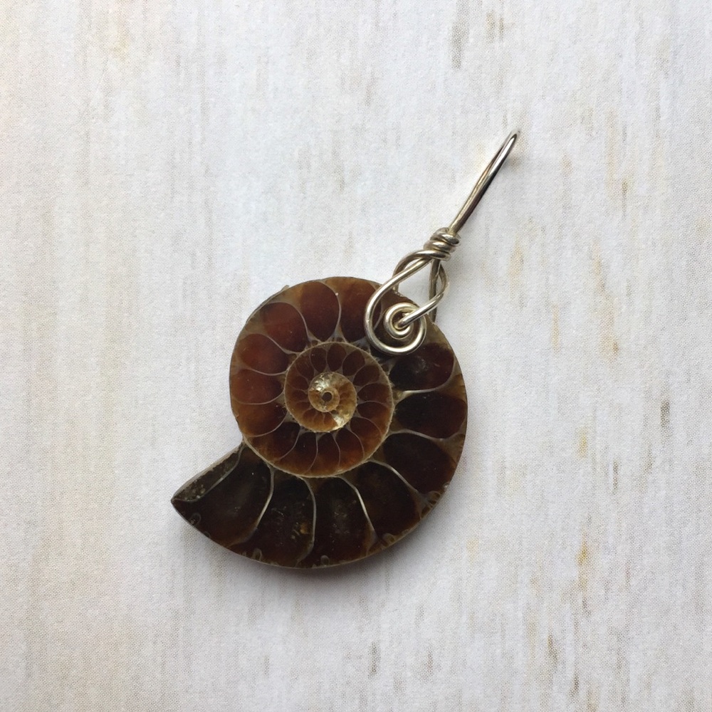 Earthy Ammonite Shell Fossil Sterling Pendant